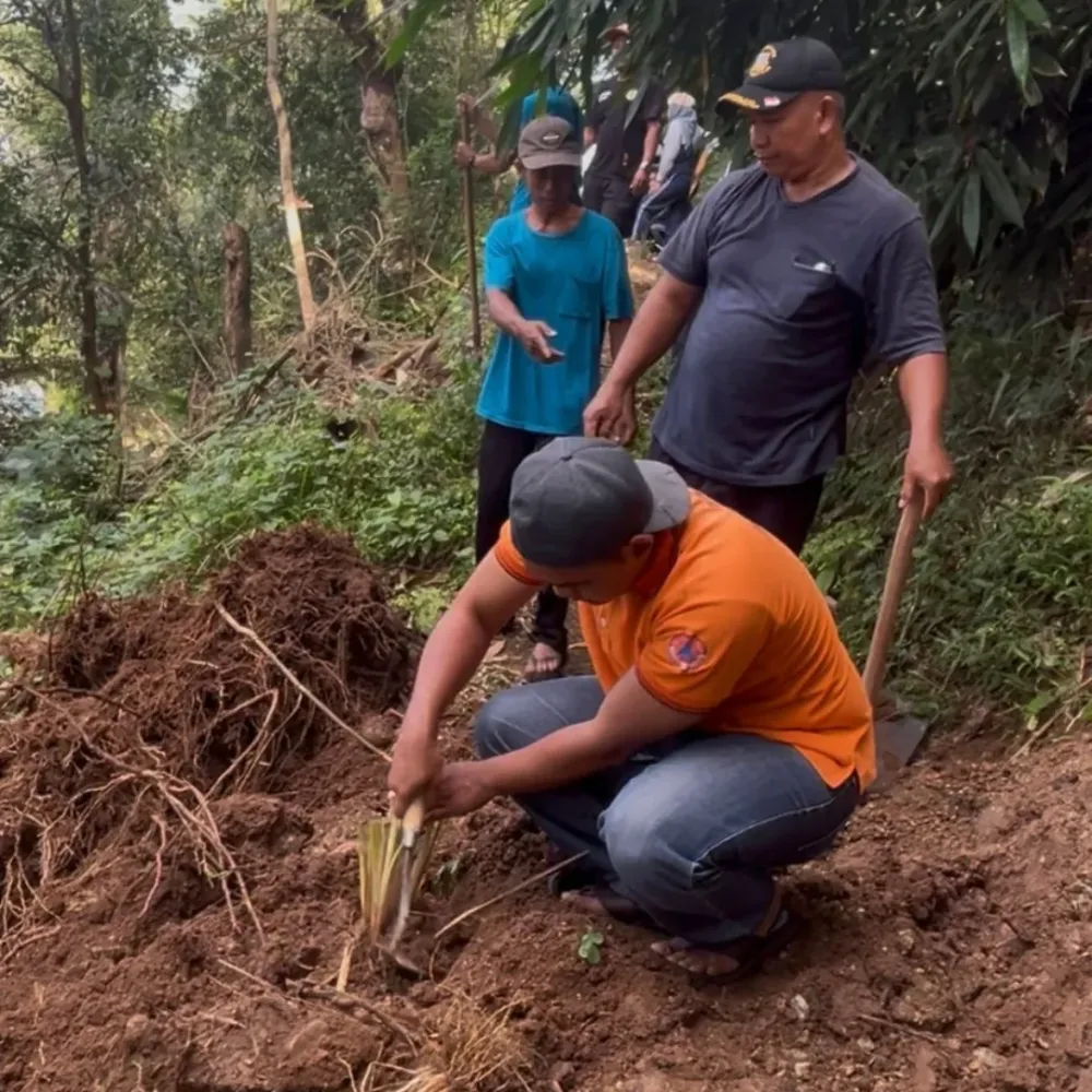Desa Sanggang Terapkan Penanaman Vetiver untuk Mitigasi Longsor